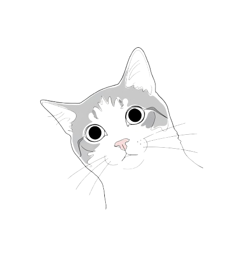 Lost cat illustration